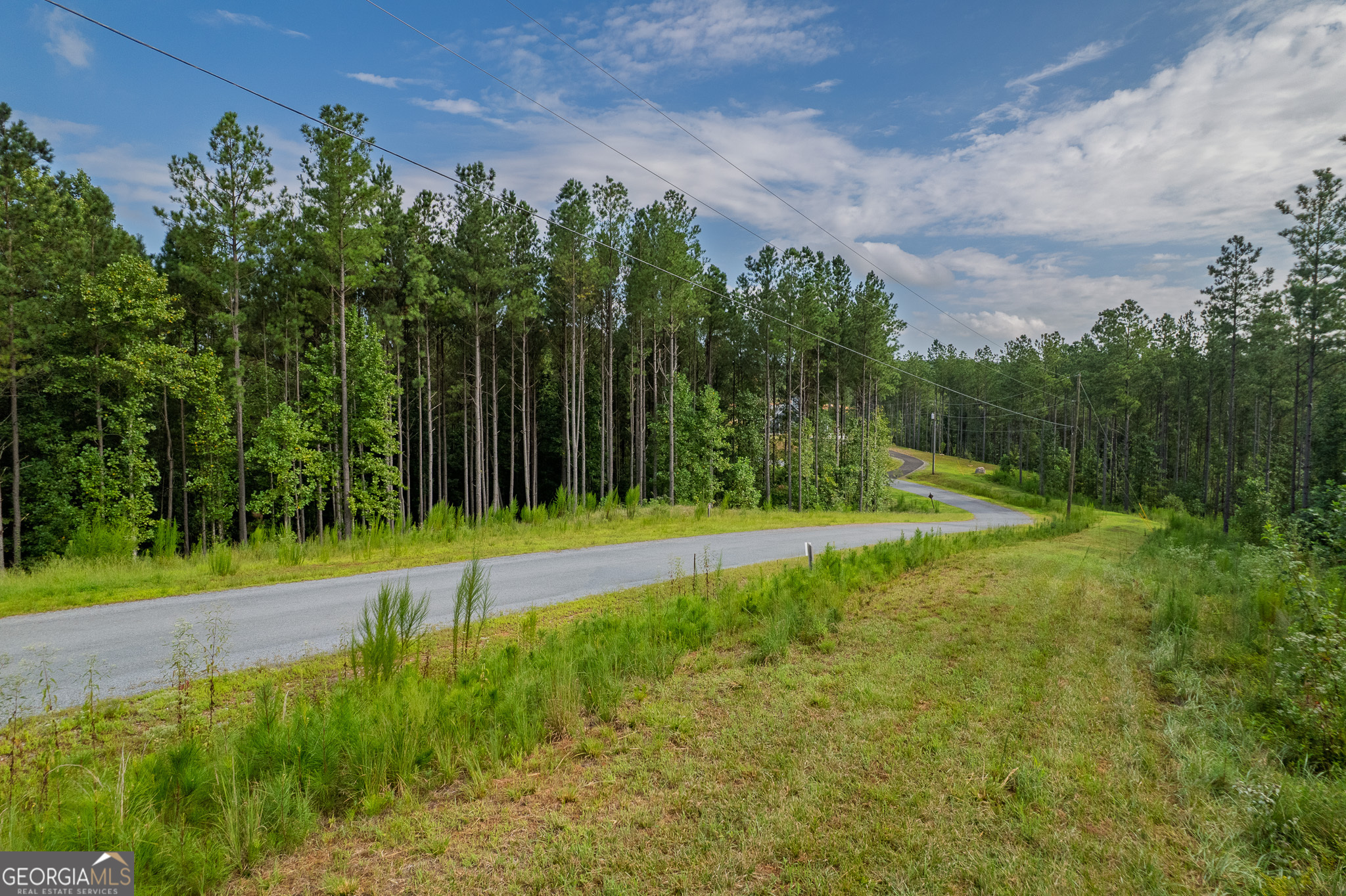 Lot 195 Blalock Mountain Road Talking Rock GA 30175