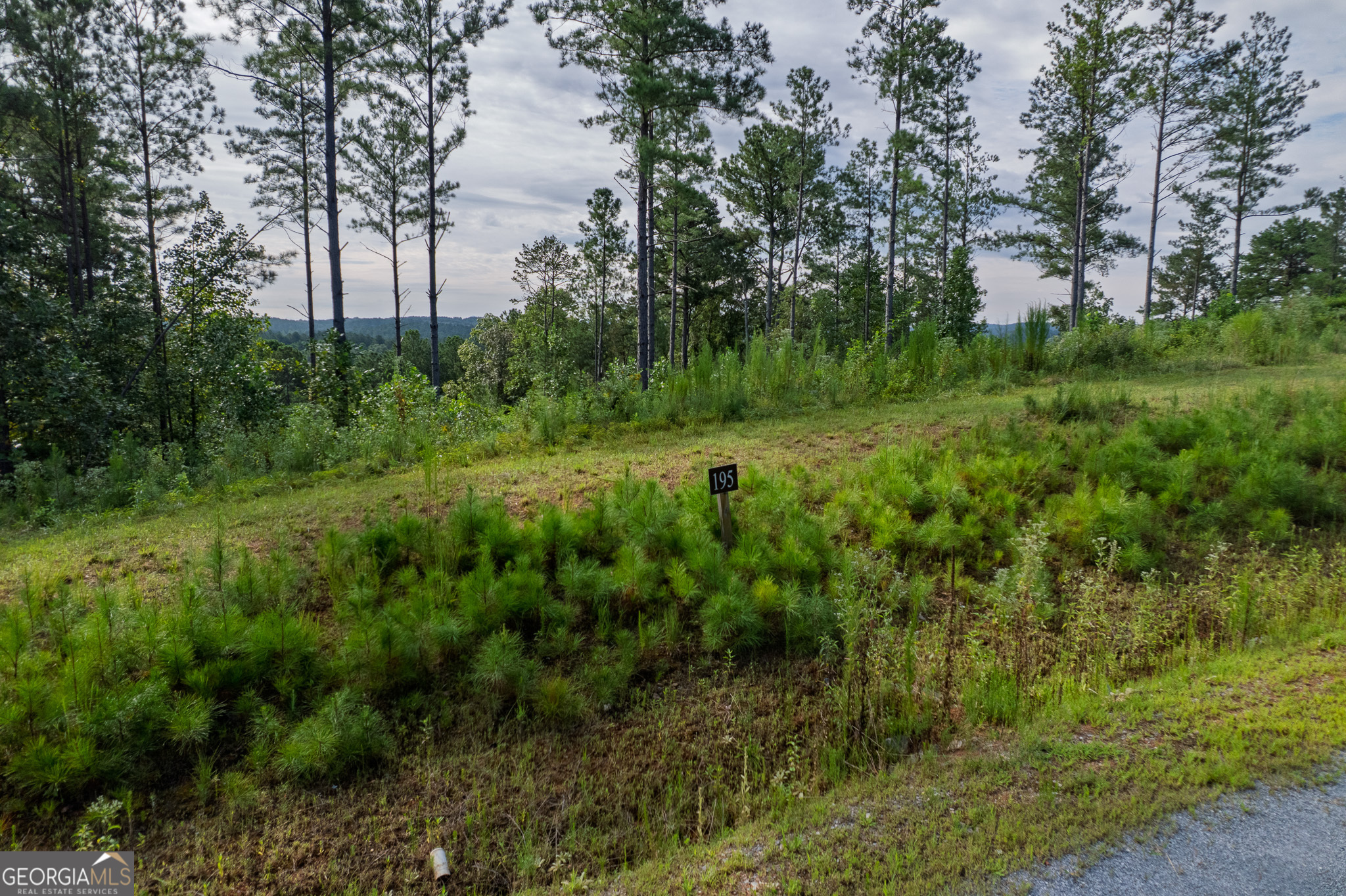 Lot 195 Blalock Mountain Road Talking Rock GA 30175