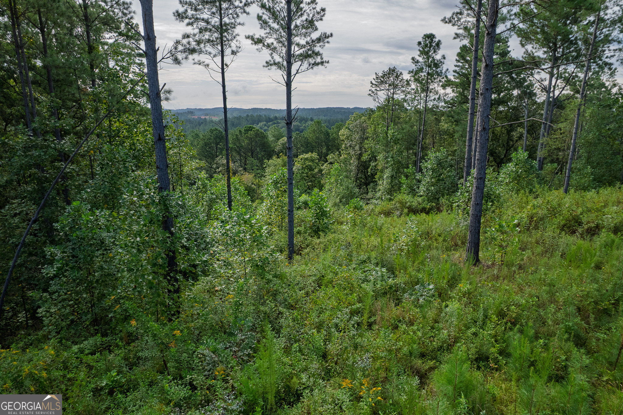 Lot 195 Blalock Mountain Road Talking Rock GA 30175