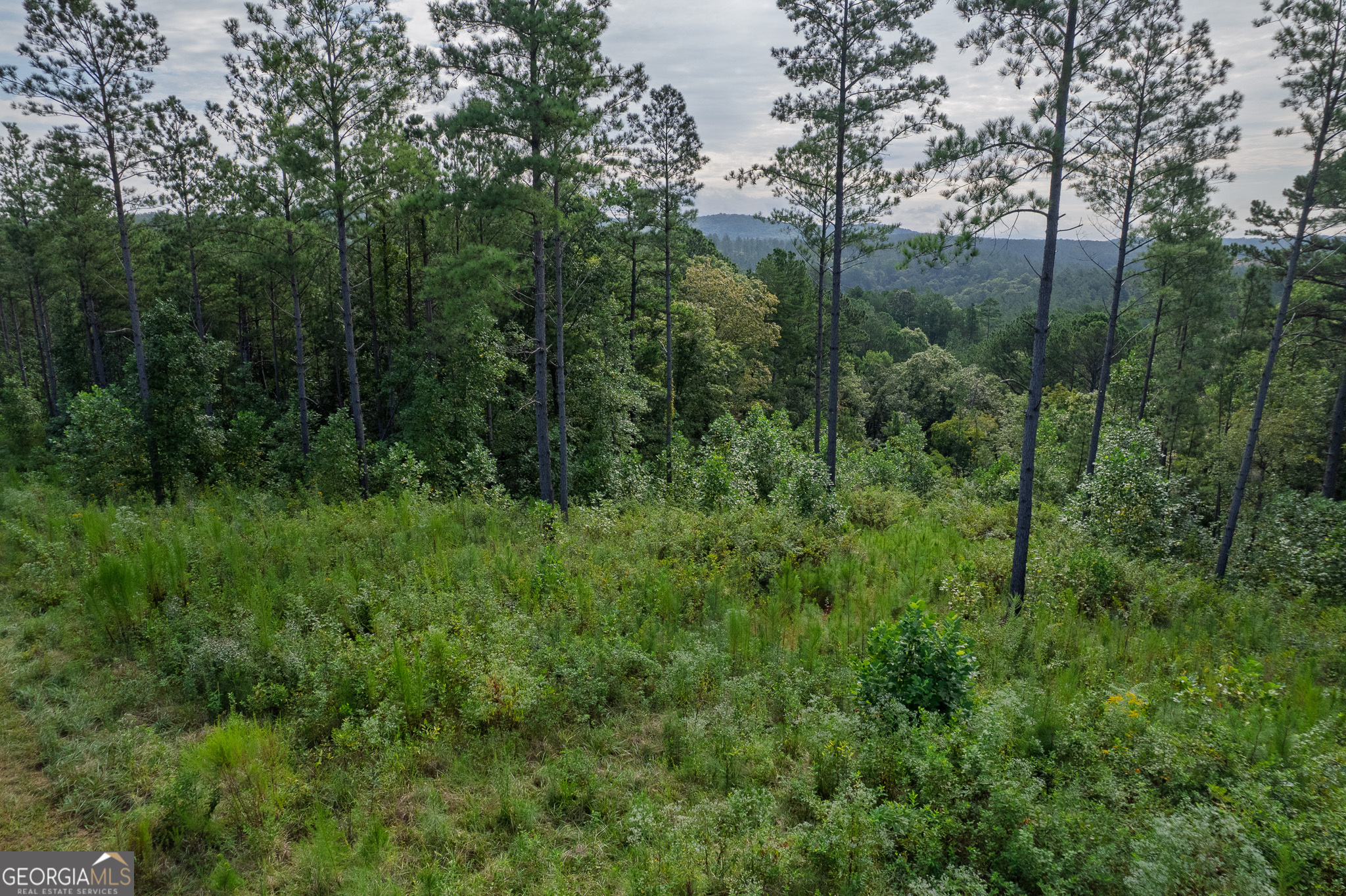 Lot 195 Blalock Mountain Road Talking Rock GA 30175