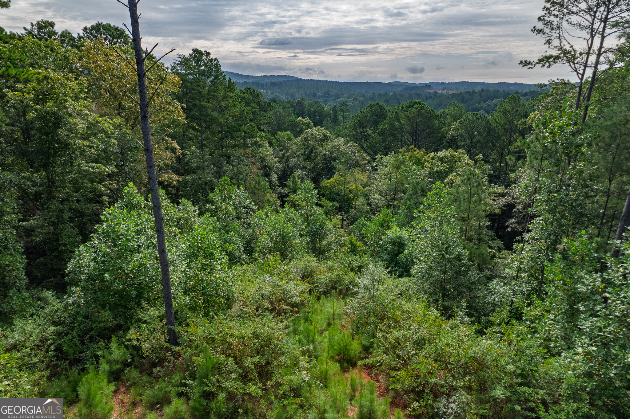 Lot 195 Blalock Mountain Road Talking Rock GA 30175