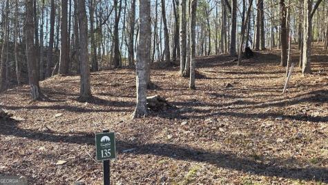 135 Red Oak Trail East Ellijay GA 30540