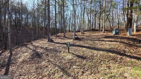 135 Red Oak Trail East Ellijay GA 30540