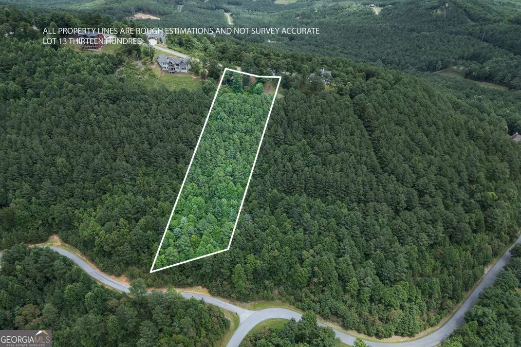Lot 13 Thirteen Hundred Blairsville GA 30512