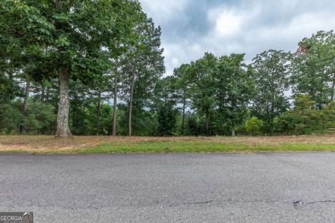 Lot 13 Thirteen Hundred Blairsville GA 30512