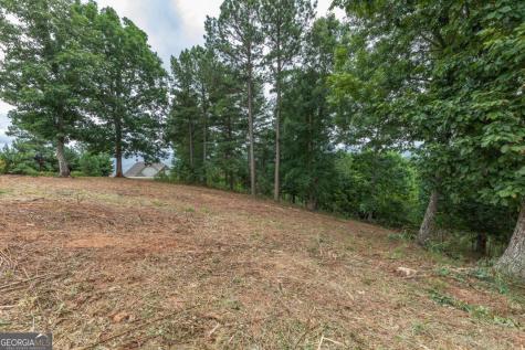 Lot 13 Thirteen Hundred Blairsville GA 30512