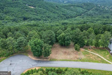 Lot 13 Thirteen Hundred Blairsville GA 30512