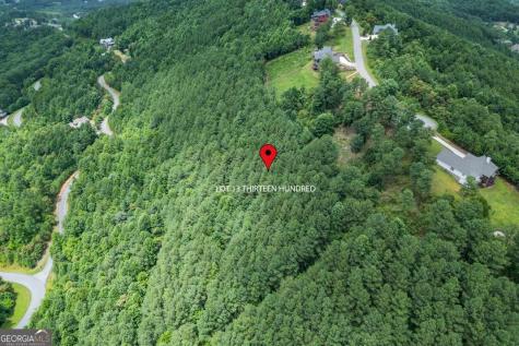 Lot 13 Thirteen Hundred Blairsville GA 30512