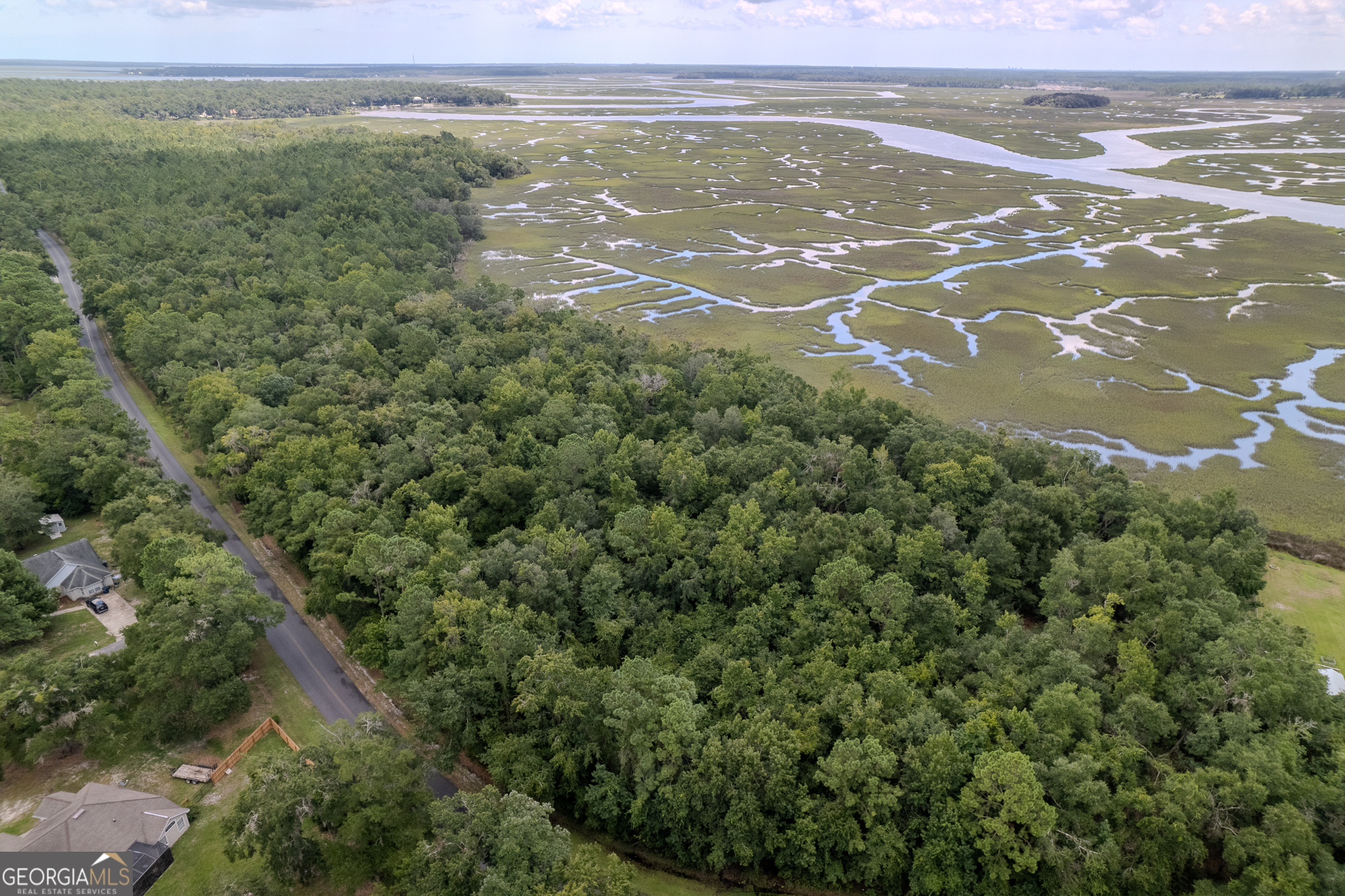 0 Sheffield Island Road Woodbine GA 31569