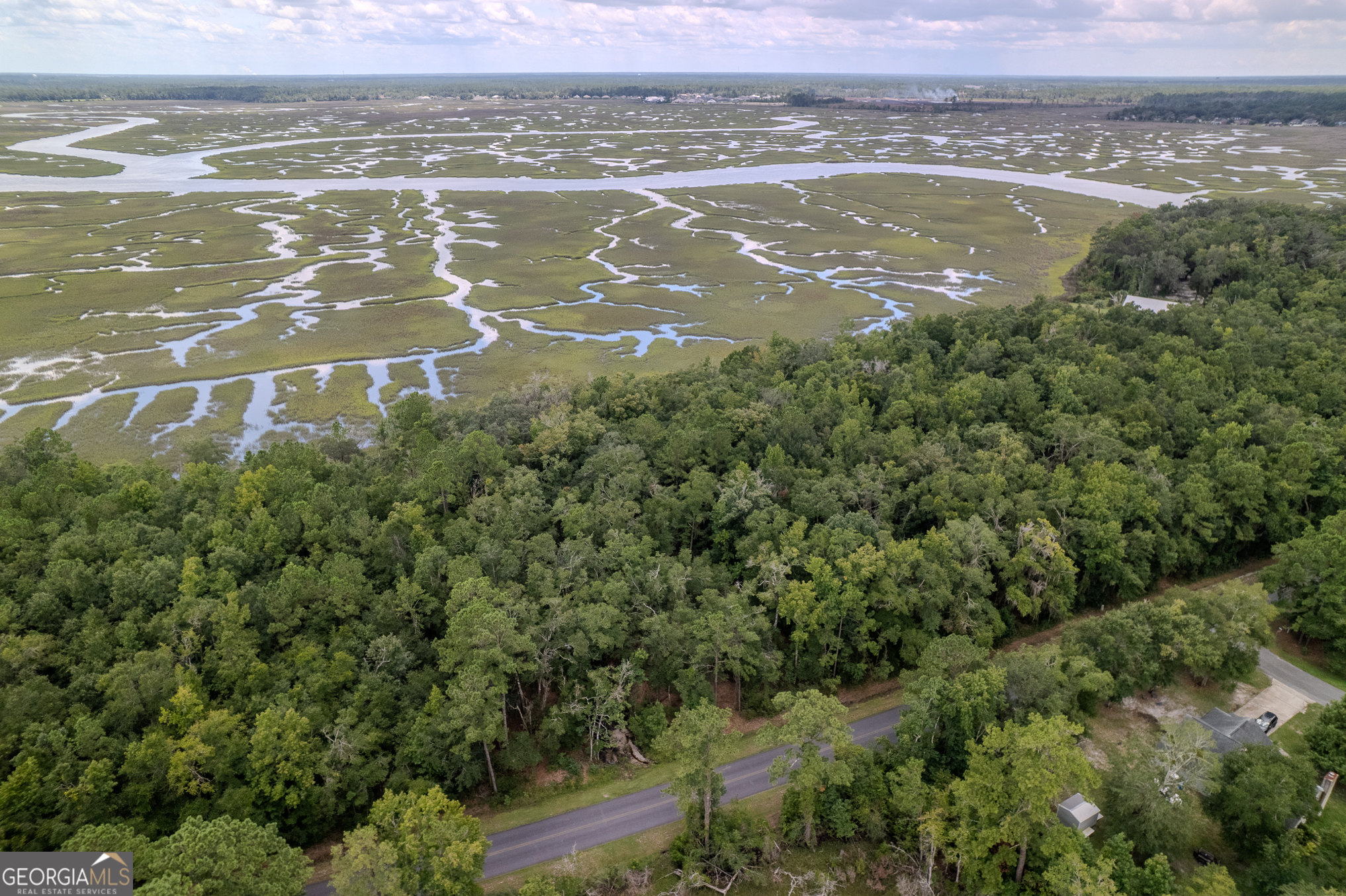 0 Sheffield Island Road Woodbine GA 31569