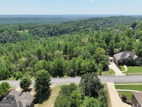 1020 Sterling Lakes Circle Helena AL 35022