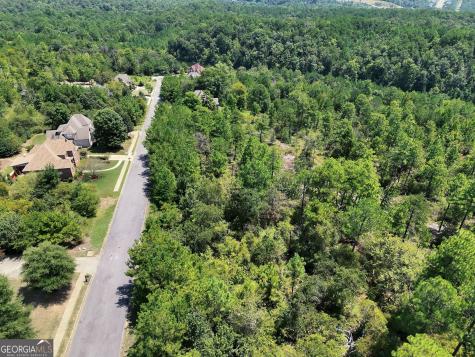 1020 Sterling Lakes Circle Helena AL 35022
