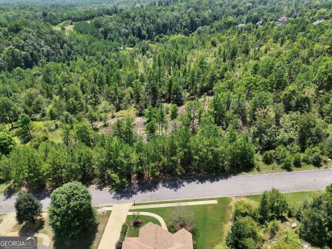 1020 Sterling Lakes Circle Helena AL 35022