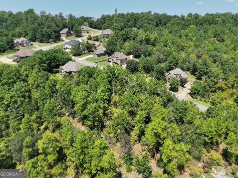 1020 Sterling Lakes Circle Helena AL 35022