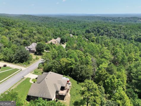 1020 Sterling Lakes Circle Helena AL 35022