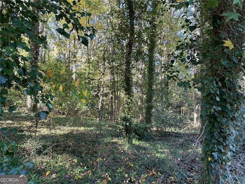 2715 Cheney Street East Point GA 30344