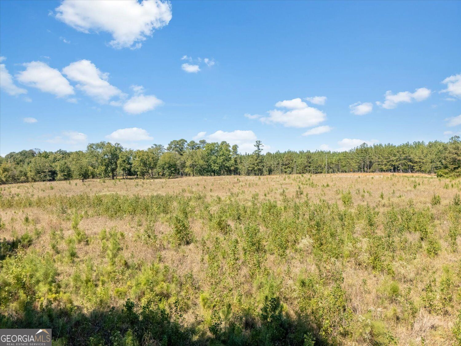 0 Greenwood Church Road Lincolnton GA 30817