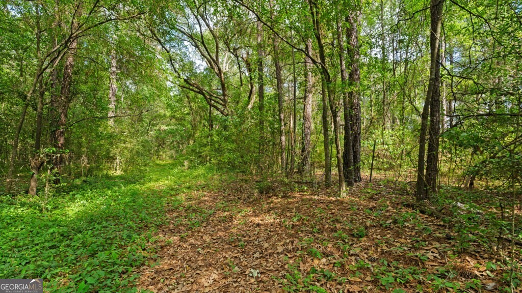 1 Coakley And Slade Avenue Albany GA 31721