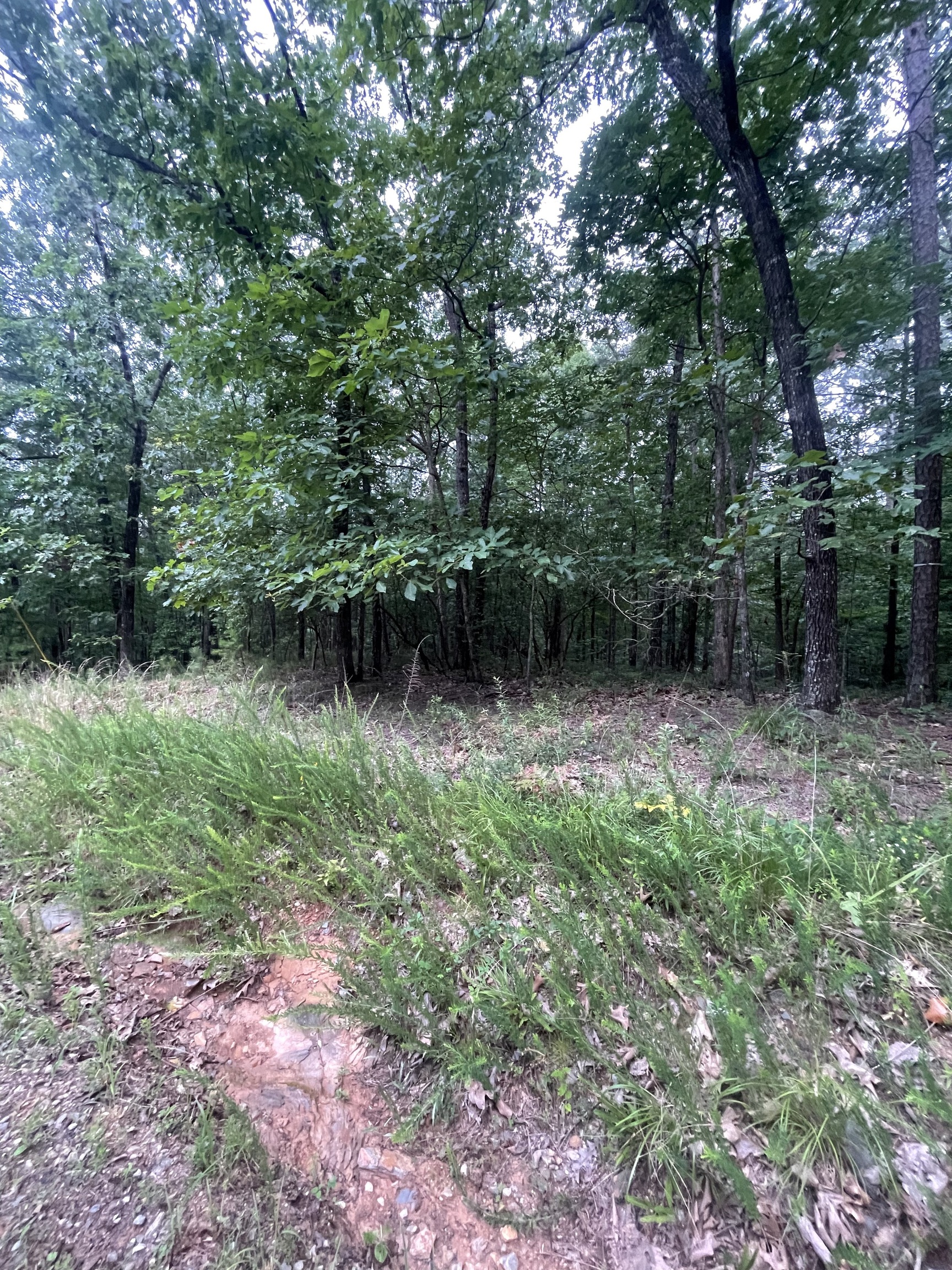 403 Jester Court Ranger GA 30734