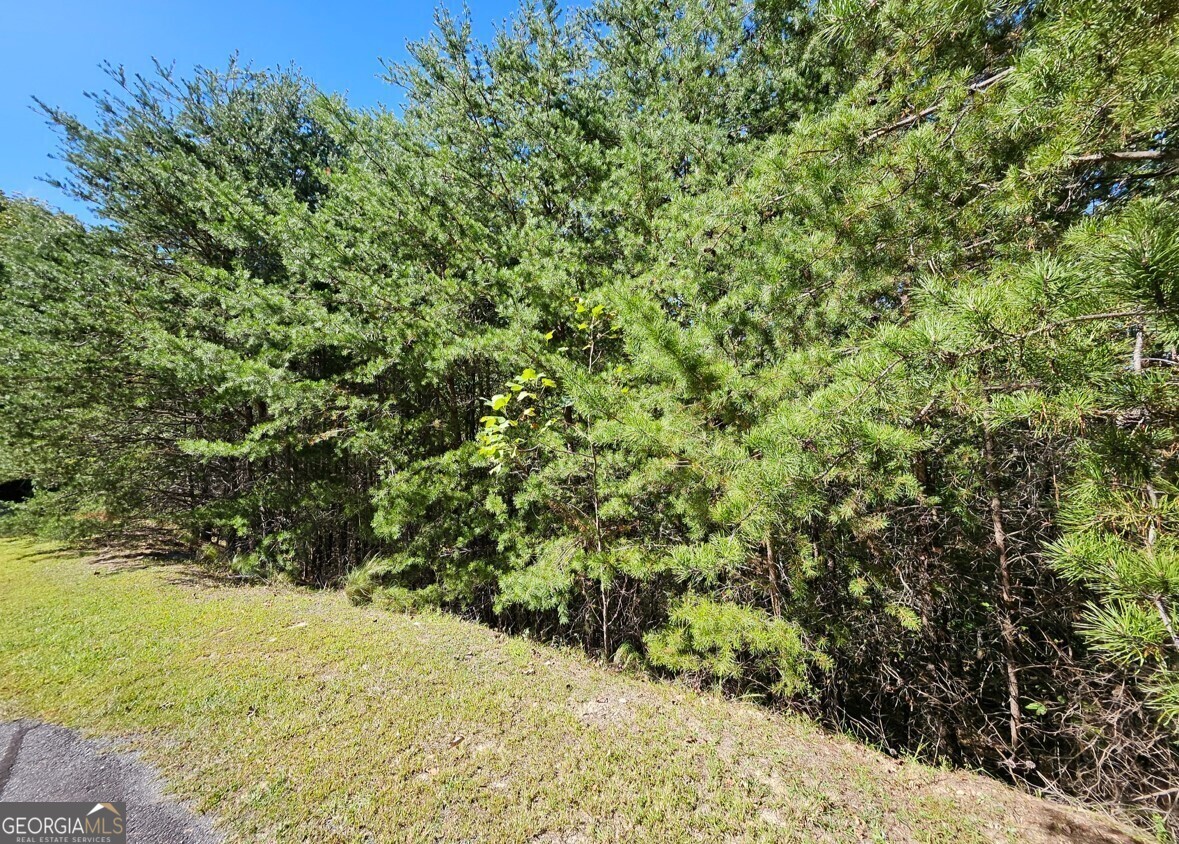 298 Ridgeside Court Jasper GA 30143