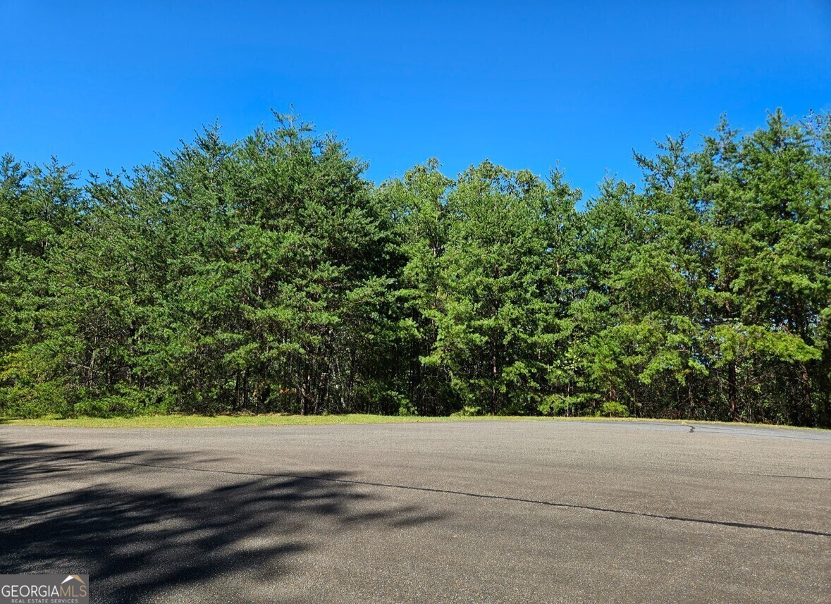 298 Ridgeside Court Jasper GA 30143
