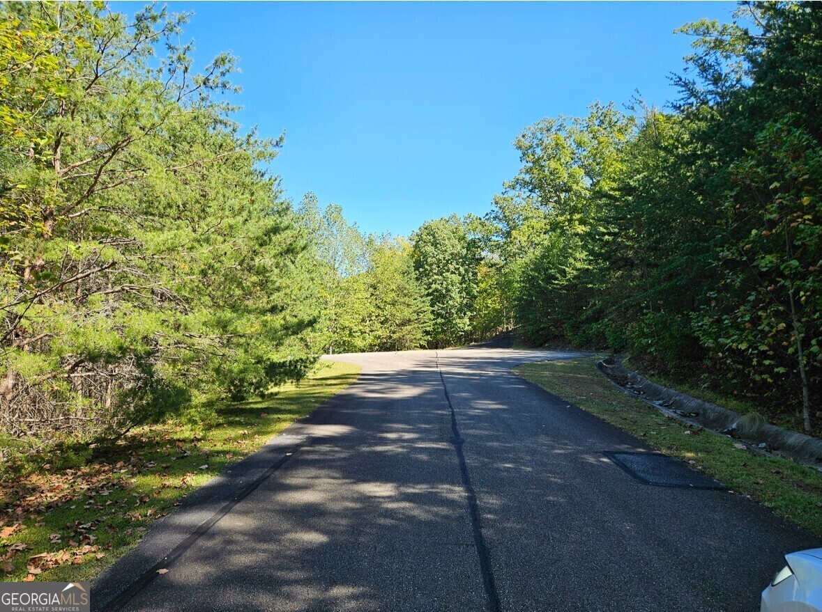 298 Ridgeside Court Jasper GA 30143