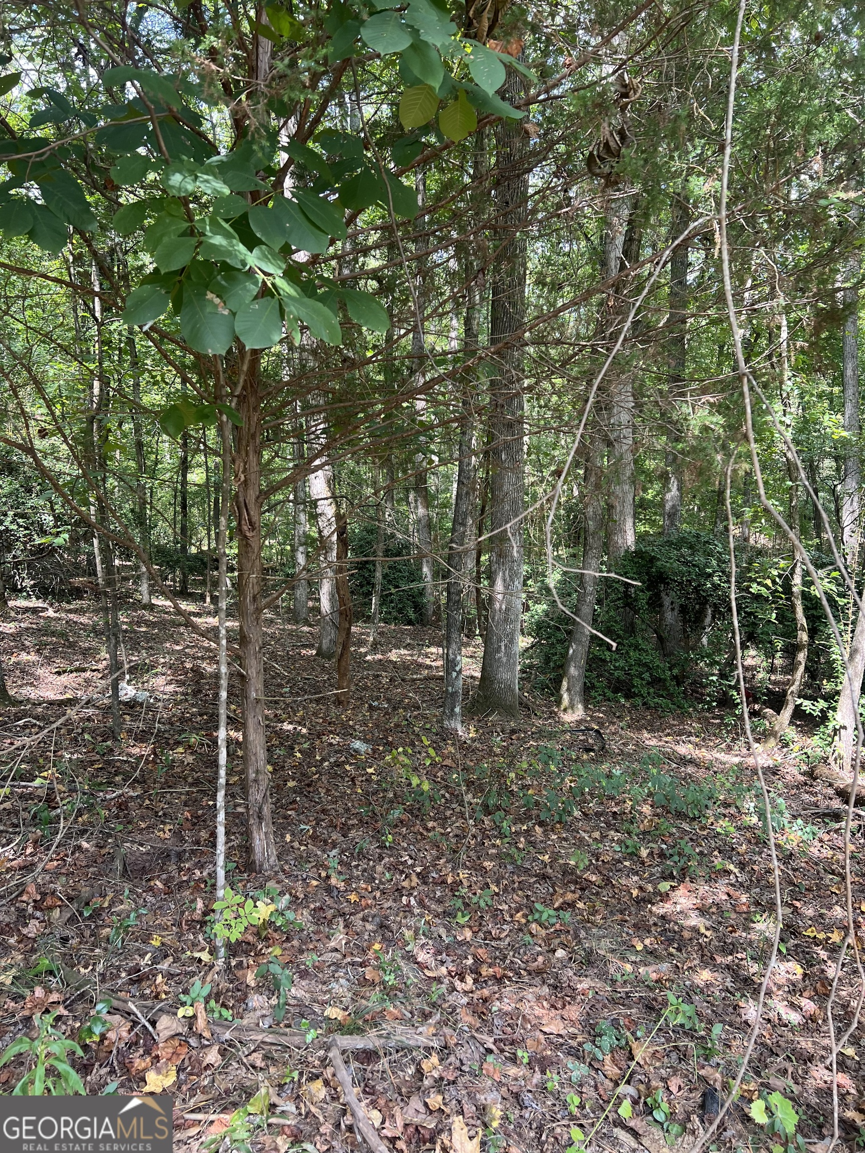 0 Barouche Drive Thomaston GA 30286