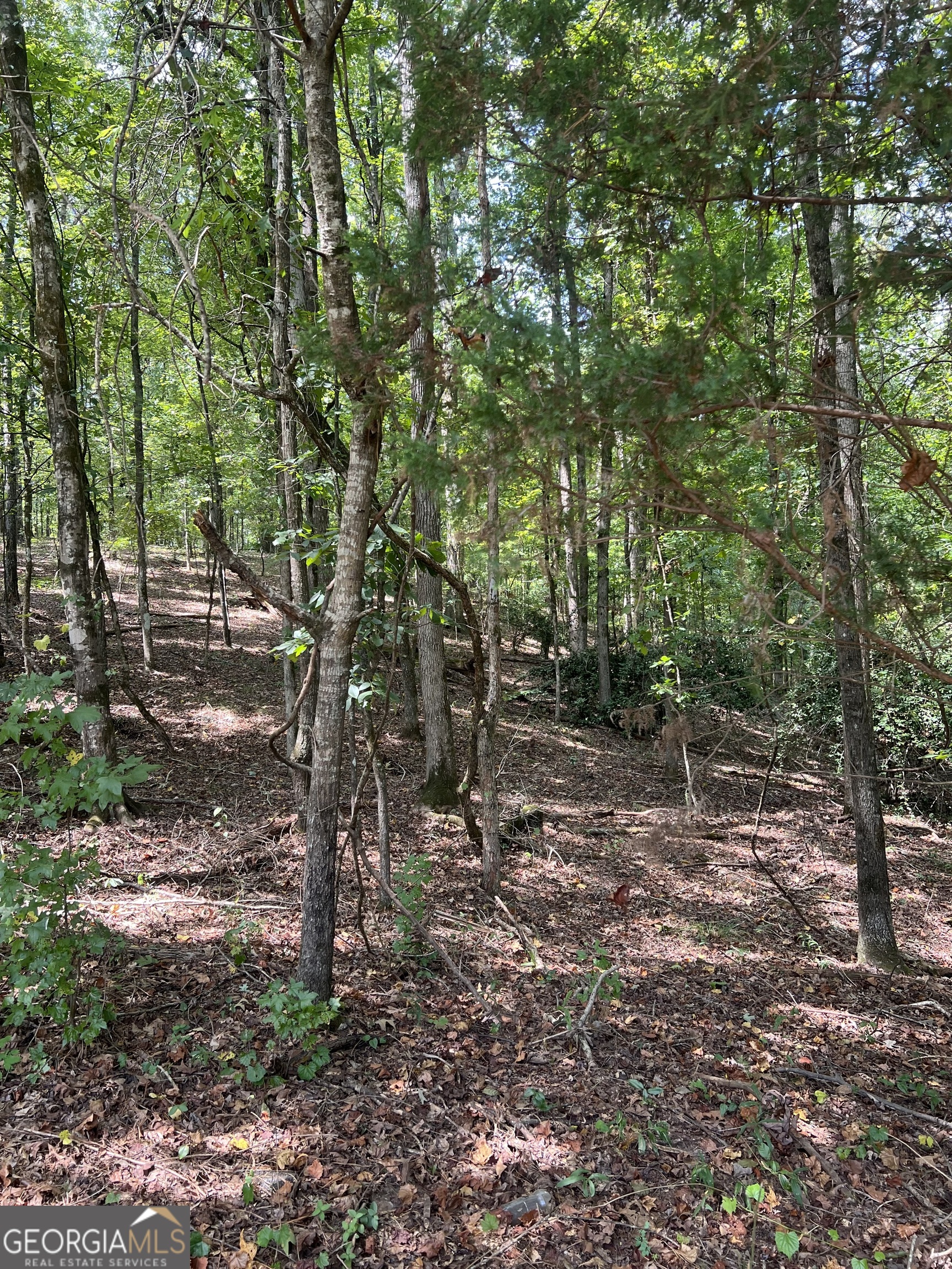 0 Barouche Drive Thomaston GA 30286