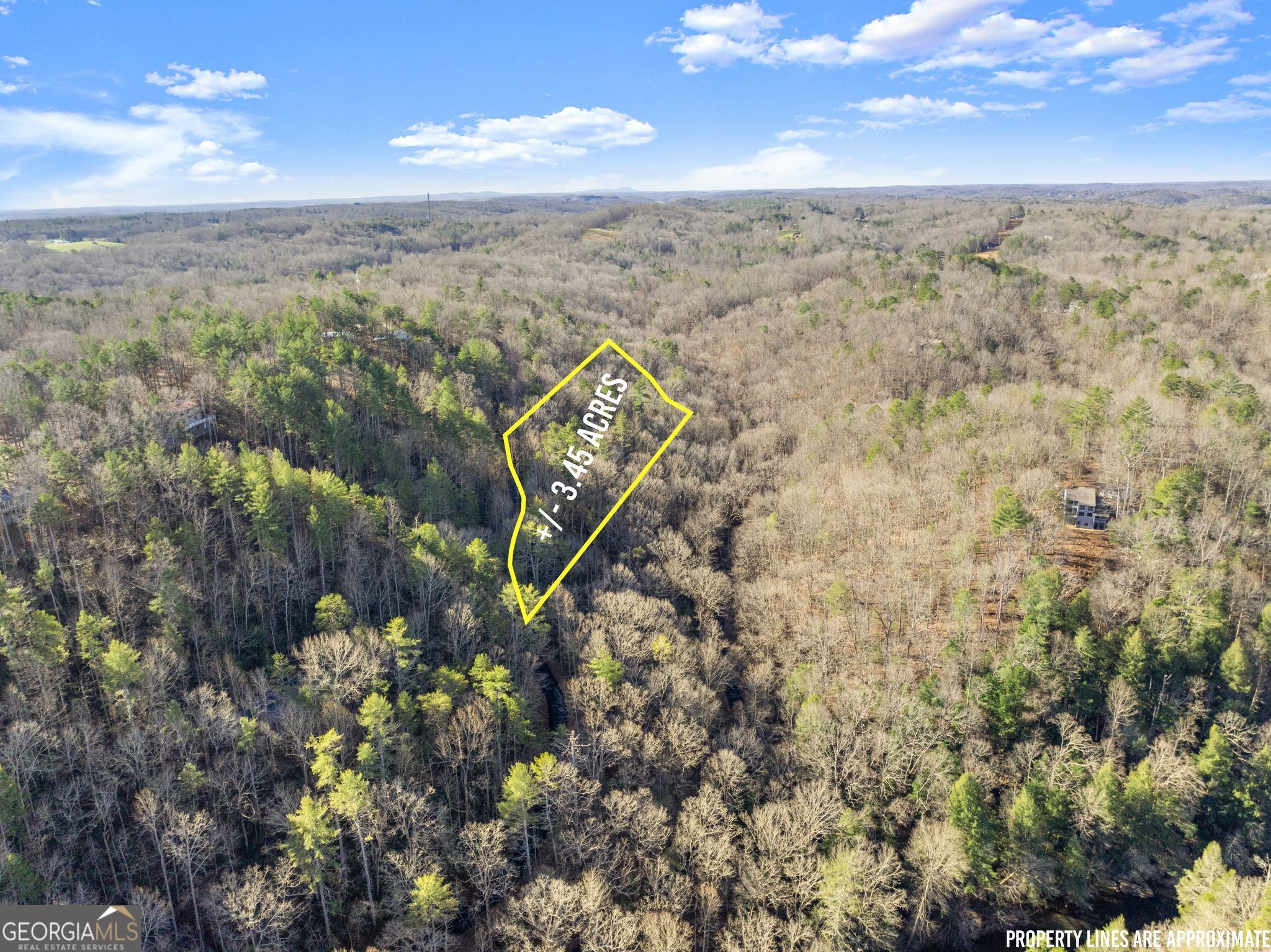 0 River View Lot 12 Trail W Dahlonega GA 30533
