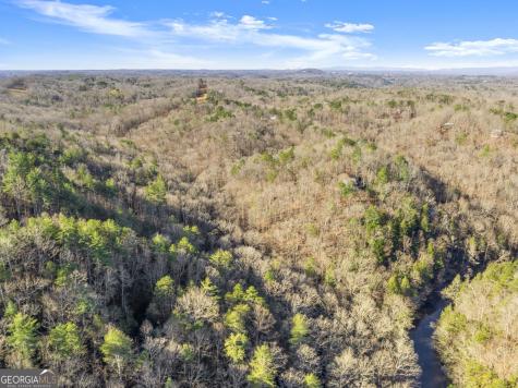 0 River View Lot 12 Trail W Dahlonega GA 30533