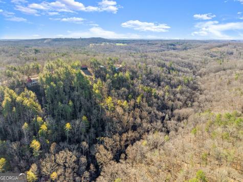 0 River View Lot 12 Trail W Dahlonega GA 30533