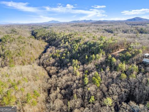 0 River View Lot 12 Trail W Dahlonega GA 30533