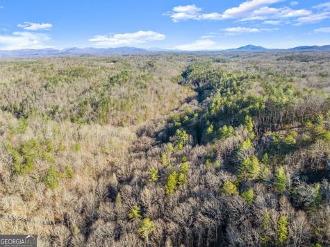 0 River View Lot 12 Trail W Dahlonega GA 30533