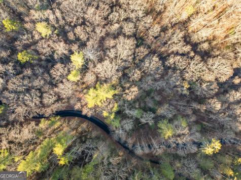 0 River View Lot 12 Trail W Dahlonega GA 30533