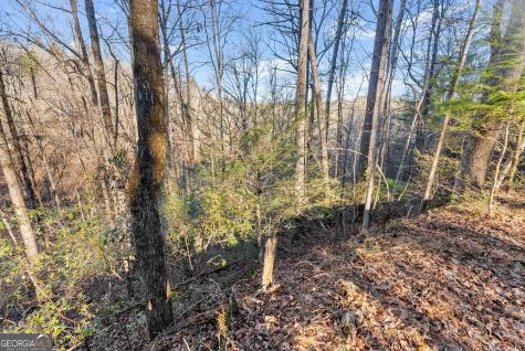 0 River View Lot 12 Trail W Dahlonega GA 30533
