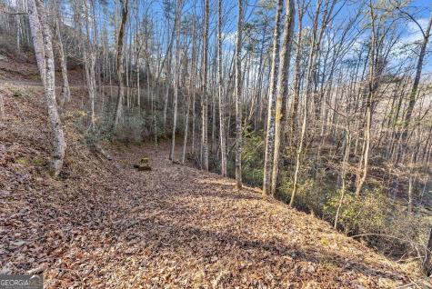 0 River View Lot 12 Trail W Dahlonega GA 30533