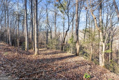 0 River View Lot 12 Trail W Dahlonega GA 30533