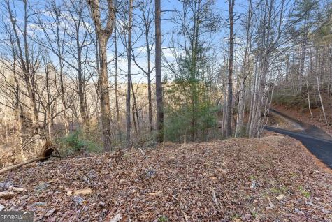 0 River View Lot 12 Trail W Dahlonega GA 30533