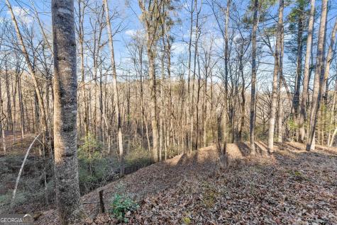 0 River View Lot 12 Trail W Dahlonega GA 30533