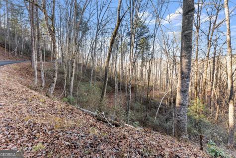 0 River View Lot 12 Trail W Dahlonega GA 30533