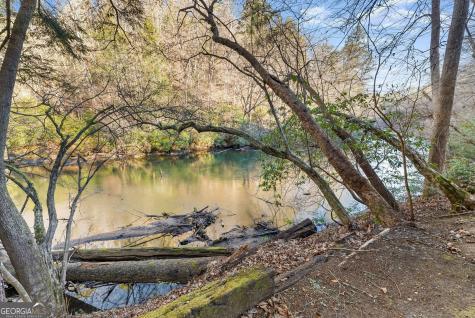 0 River View Lot 12 Trail W Dahlonega GA 30533