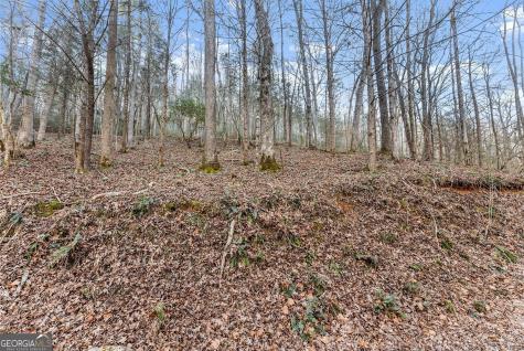 0 River View Lot 12 Trail W Dahlonega GA 30533