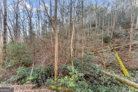 0 River View Lot 12 Trail W Dahlonega GA 30533