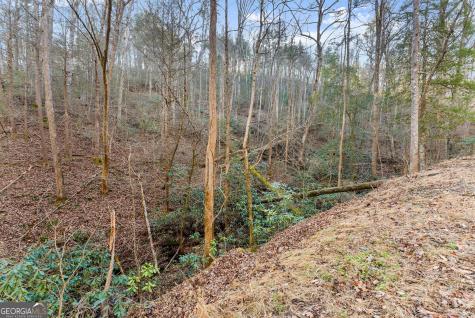 0 River View Lot 12 Trail W Dahlonega GA 30533
