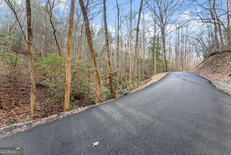 0 River View Lot 12 Trail W Dahlonega GA 30533