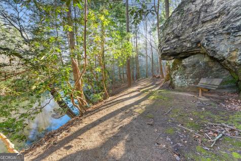 0 River View Lot 12 Trail W Dahlonega GA 30533
