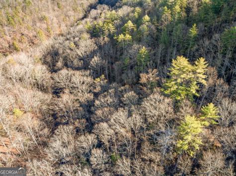 0 River View Lot 12 Trail W Dahlonega GA 30533