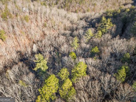 0 River View Lot 12 Trail W Dahlonega GA 30533