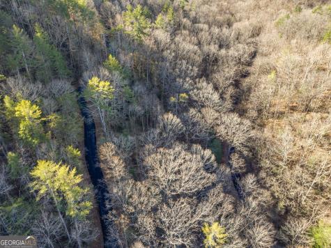 0 River View Lot 12 Trail W Dahlonega GA 30533
