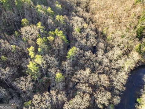 0 River View Lot 12 Trail W Dahlonega GA 30533